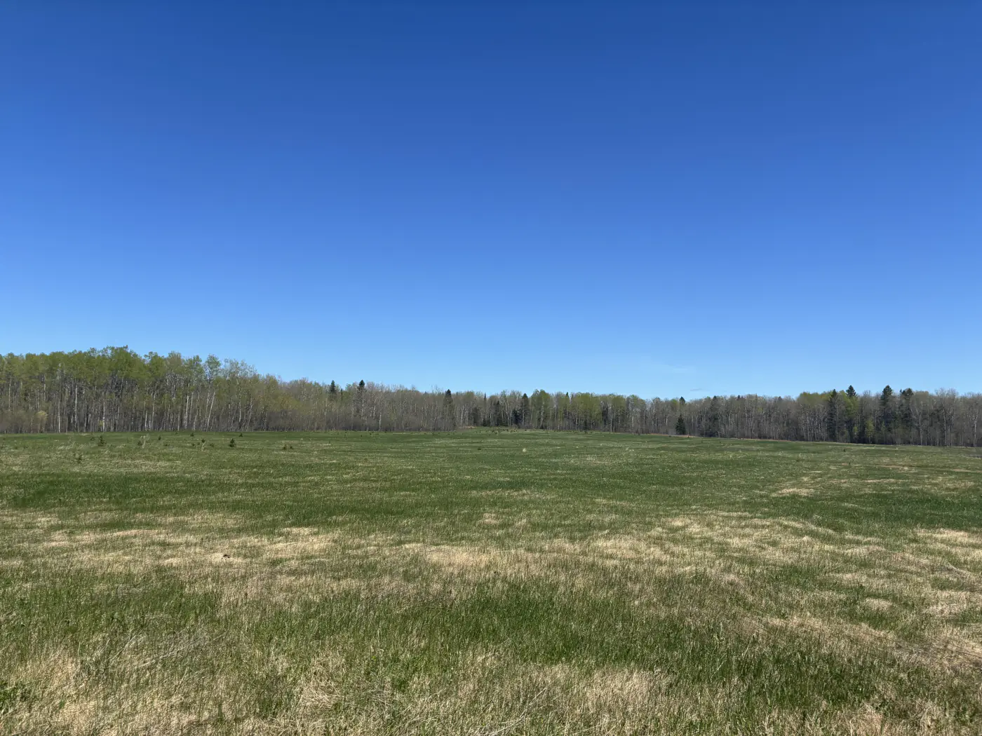 113 Acres Farmland | Moonbeam
